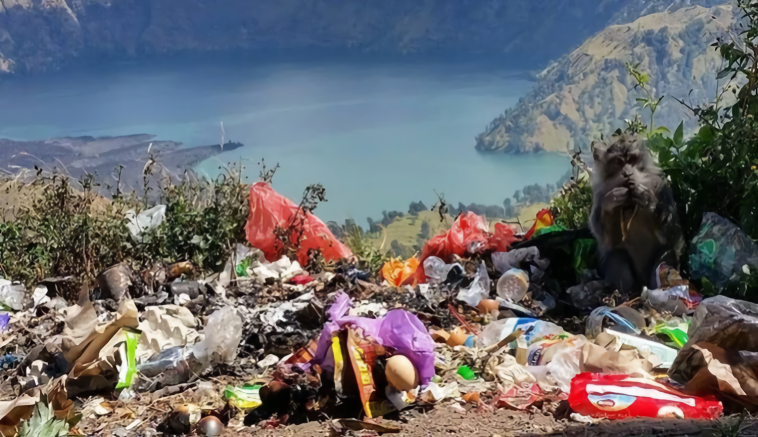 Dalam Empat Tahun Sampah Di Gunung Rinjani Capai 236 Ton Kicknewstoday 9744