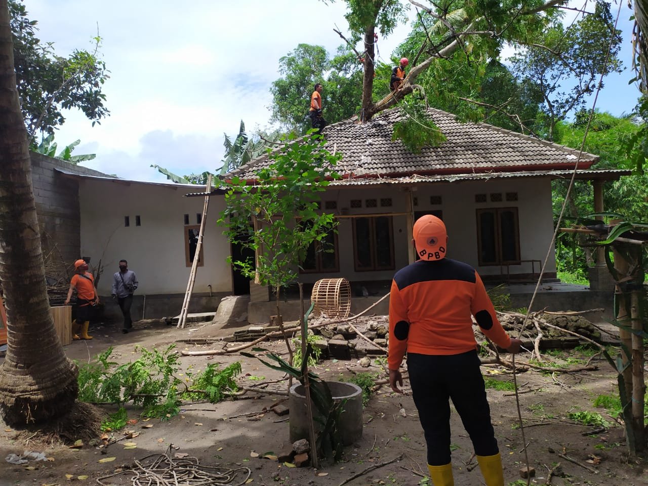 Pohon Tumbang, Satu Unit Rumah di Desa Bagik Payung Selatan Rusak