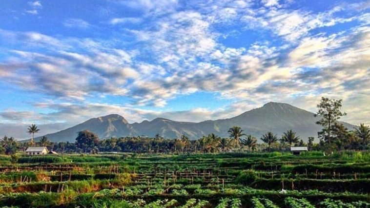 Desa Tete Batu Lombok Timur wakili Indonesia di ajang ‘Best Tourism