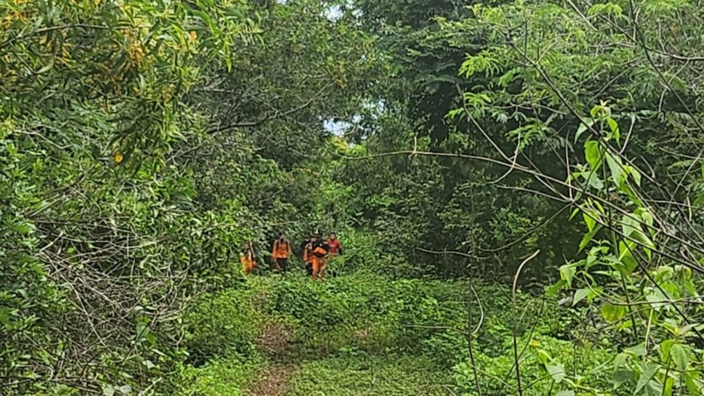Tim SAR gabungan saat mencari pria pencari kayu yang hilang dua hari di tengah hutan Lombok Timur, Minggu (18/2/2024).