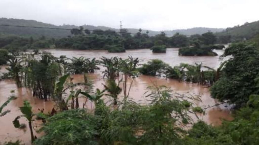 Area persawahan di Kecamatan Rasanae Timur digenangi banjir Jumat sore (9/2/2024).