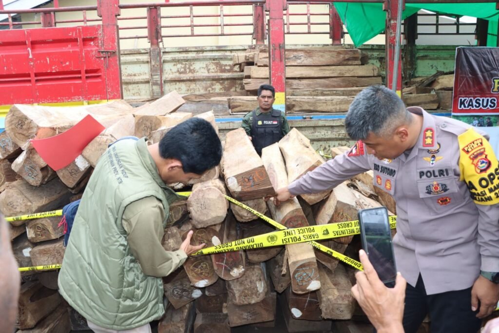 Ribuan kubik kayu illegal logging hasil tangkapan Polres Bima.