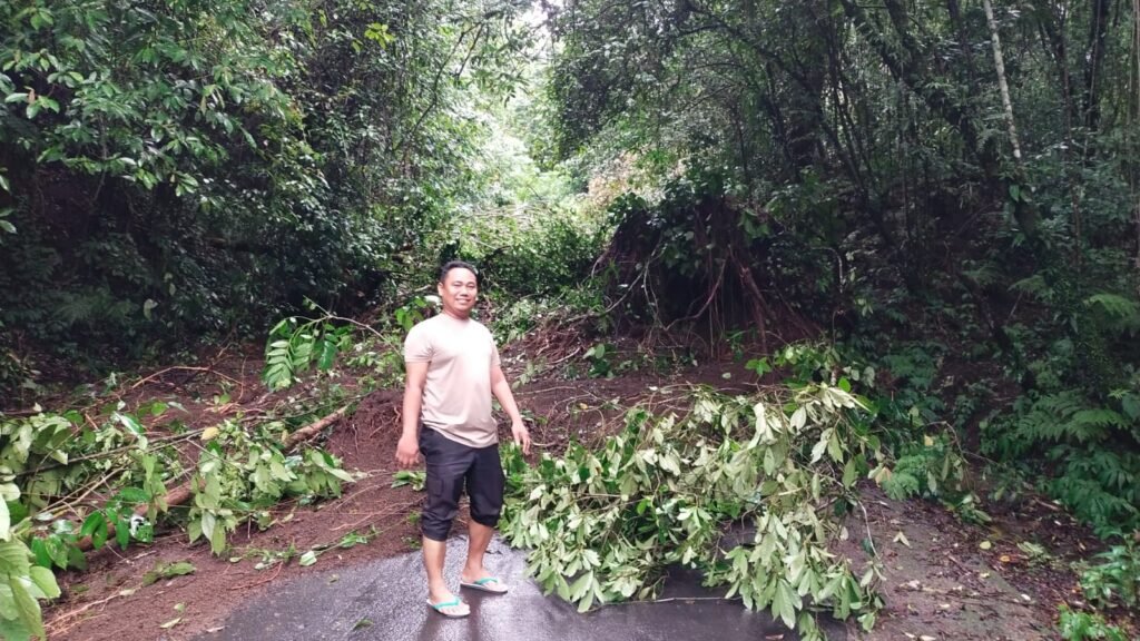 Hujan deras disertai angin kencang menyebabkan jalan raya wisata Kecamatan Suela menuju Kecamatan Sembalun Kabupaten Lombok Timur tertutup longsor dan pohon tumbang, Senin (1/4/2024).