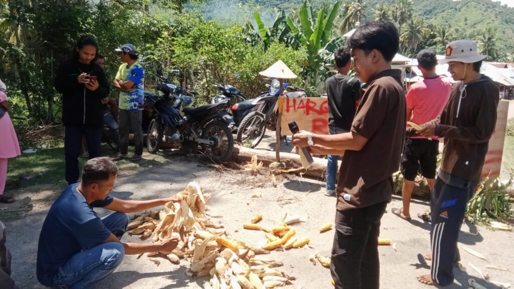 doc. Harga jagung anjlok, petani Desa Laju, Kecamatan Langgudu, Kabupaten Bima memblokade jalan, Sabtu (13/4/2024).