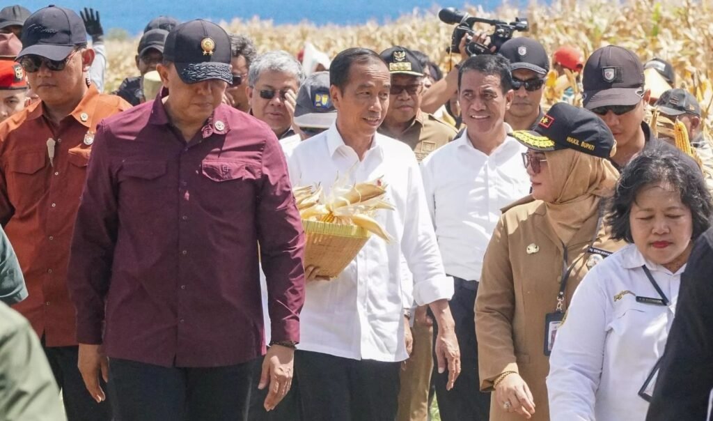Presiden Republik Indonesia Ir. H. Joko Widodo lakukan peninjauan dan panen jagung di daerah Samota Sumbawa, Nusa Tenggara Barat (NTB), Kamis (2/5/2024).
