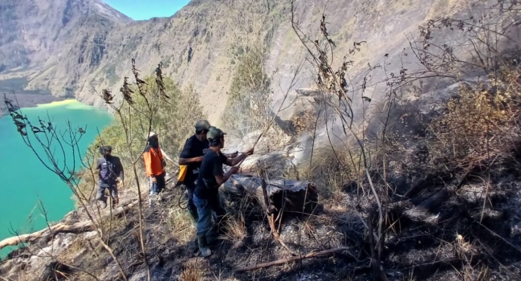 Tim pemadam Resort Aik Berik turun padamkan kebakaran lahan di kawasan Gunung Rinjani, Rabu (19/6/2024).