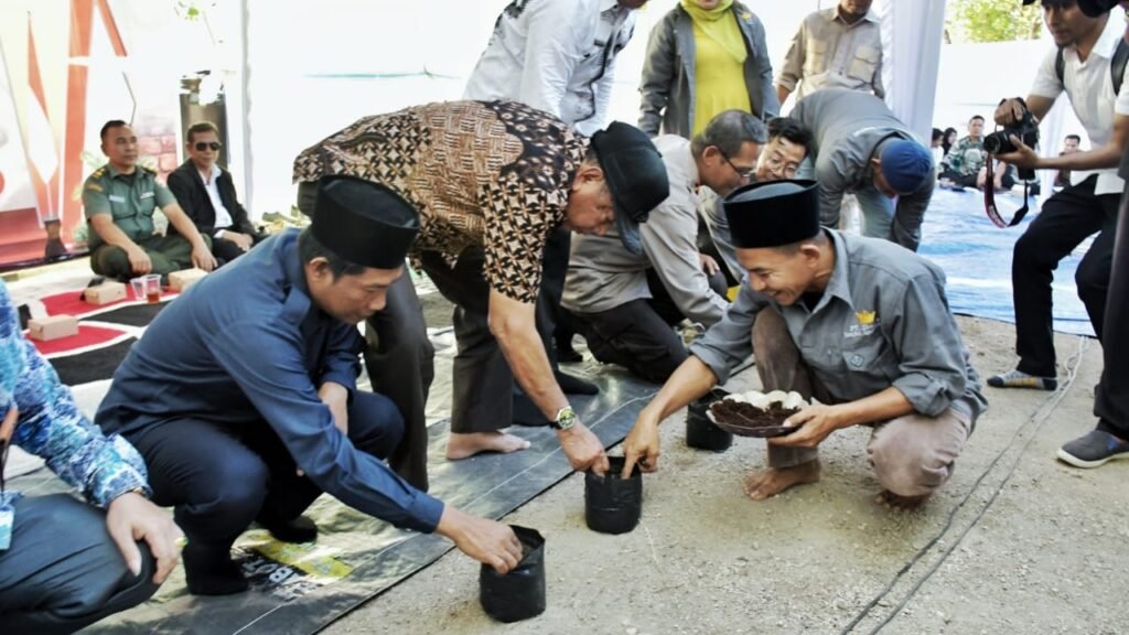 Bupati Lombok Utara saat menanam kacang Sancha Inchi, Kamis (22/8/2024).