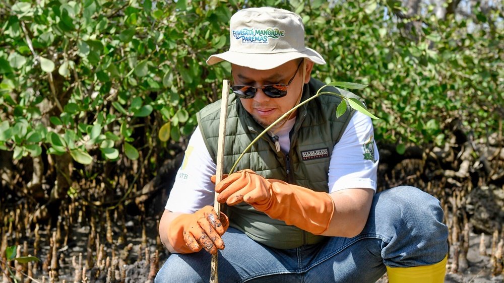 Bank NTB Syariah memperingati Hari Mangrove Sedunia dan HUT ke-62 dengan menanam mangrove di kawasan Ekowisata Paremas, Lombok Timur.