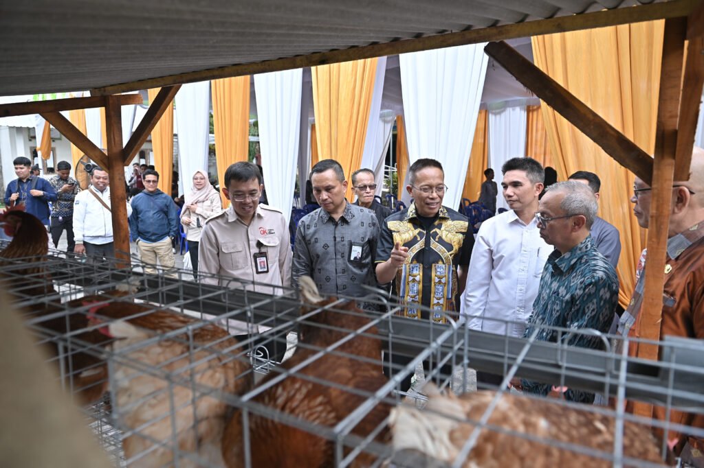 Bank NTB Syariah membantu warga Lombok Timur kembangkan budidaya Ayam Petelur