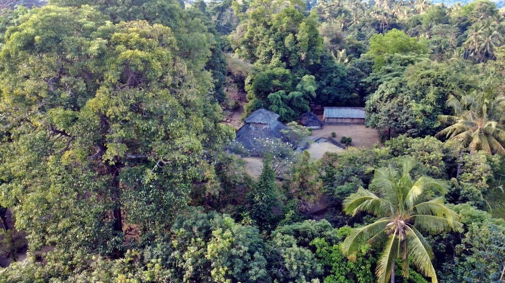 Masjid Kuno Bayan dikelilingi pepohonan di Desa Bayan, Lombok Utara. Pengetahuan masyarakat Sasak Bayan menempatkan hutan dan pohon besar sebagai bagian penting dalam menjaga sumber air. (Foto: kicknews.today)