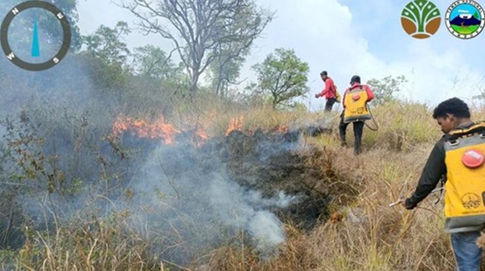 Petugas memadamkan kebakaran hutan dan lahan di kawasan Taman Nasional Tambora, Kabupaten Dompu. Hingga 11 September 2026, sekitar 358,16 hektare lahan di wilayah Resor Piong teridentifikasi terdampak kebakaran. Foto: Dok. Balai TN Tambora
