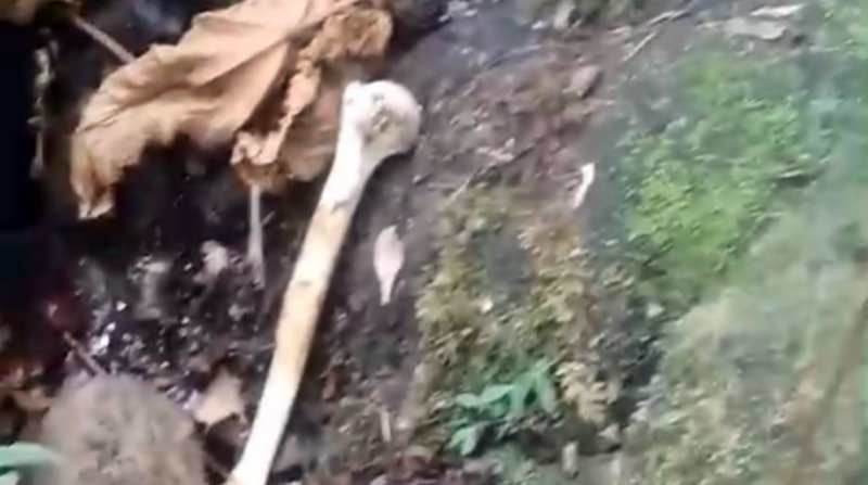 Tulang yang diduga bagian dari kerangka manusia ditemukan di kawasan Argapura, Dusun Montang, Desa Batu Mekar, Kecamatan Lingsar, Kabupaten Lombok Barat. Polisi masih melakukan pemeriksaan untuk memastikan asal serta identitas temuan tersebut. Foto: Istimewa.