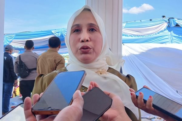 Kepala Dpmptsp-Naker, Evi Winarni. (Foto. kicknews.today/Anggi)