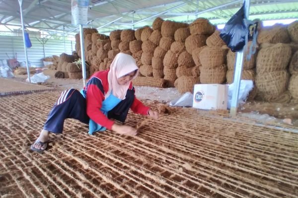 Seorang warga KSB merajut sabut kelapa binaan PT AMMAN