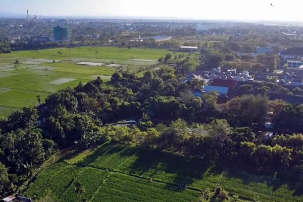 Doc. Area persawahan di Kecamatan Selaparang Mataram