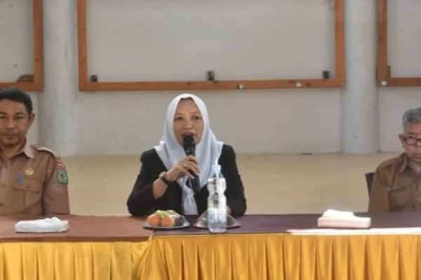 Ketua TP PKK Lombok Utara didampingi Kepala DP2KBPMD Lombok Utara. (Foto. kicknews.today/Ist)