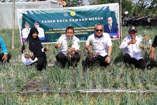 IMG-20251030-WA0013 Kepala DKP3 bersama Kelompok Tani Pelita dan UPTD saat panen Bawang Merah di Dusun Lempenge. (Foto. kicknews.today/Anggi)