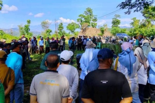 Kegiatan penanaman pohon BKPH Maria Donggomasa dan sejumlah pihak di Kelurahan Lampe Kota Bima.