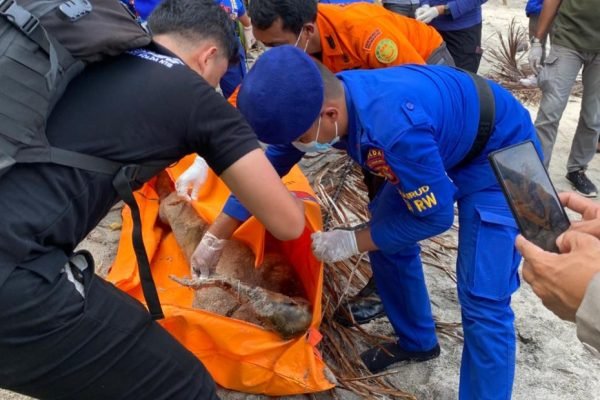 Jenazah S.A.H saat dievakuasi tim gabungan. (Foto. kicknews.today/Ist)