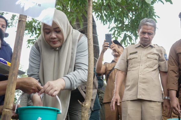 Wakil gubernur NTB Hj Indah Damayanti putri saat melakukan penanaman pohon pule di halaman Kantor Walikota Bima. (foto kicknews.today/adpim)