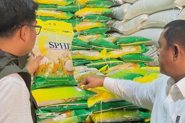Pemimpin Wilayah Perum BULOG NTB, Mara Kamin Siregar, saat memeriksa ketersediaan Stok beras di gudang Bulog NTB. (Foto. kicknews.today/Ist)