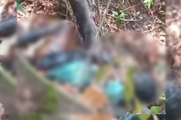 Sesosok mayat tanpa identitas ditemukan di kawasan Bukit Lendang Luar, Desa Malaka, Kecamatan Pemenang, KLU. (Foto. kicknews.today/Ist)