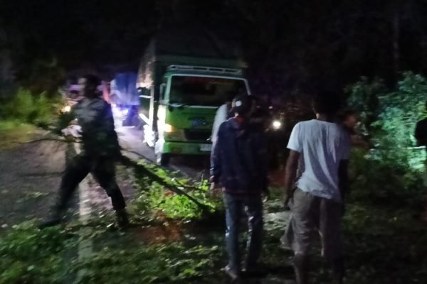 Pohon tumbang terjadi di Jalan Lintas Sumbawa -Tano, tepatnya di Kuil Bao Ang Gong, Dusun Empan Desa Labuhan Badas Kabupaten Sumbawa, Selasa malam (16/4/2024).