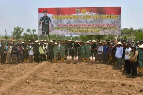 Kegiatan penanaman 1.000 Ha jagung di Lombok Timur