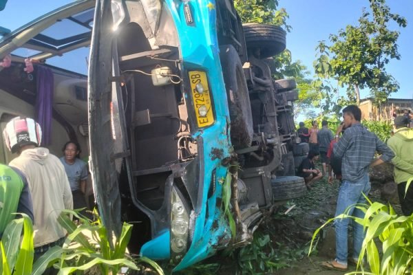 Bus Surya Kencana terguling di ladang jagung warga di Madapangga Kabupaten Bima.