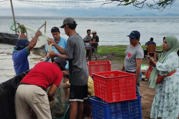 Ikan dan udang yang di sediakan