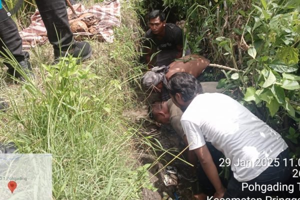 Petugas saat olah TKP temuan tengkorak manusia di Pohgading Lombok Timur.