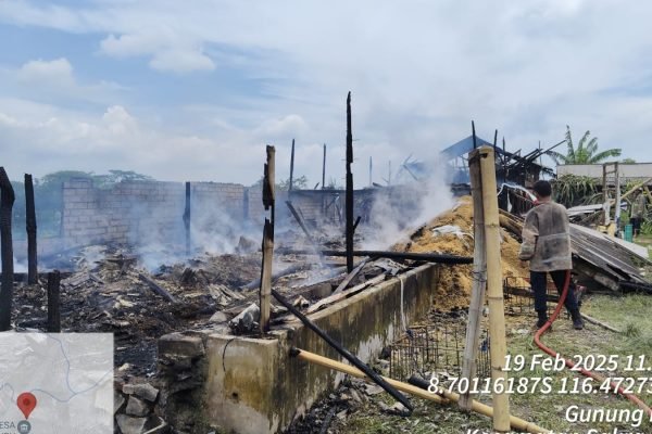 Kandang ayam potong di Sakra Barat Lombok Timur ludes terbakar, Rabu (19/2/2025).