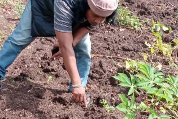 Petugas olah TKP temuan mayat bayi di Lombok Tengah.