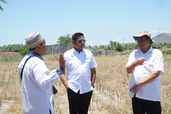 Bupati Lombok Timur, H, Haerul Warisin saat tinjau pembangunan sekolah garuda. foto: dok Pemda Lotim