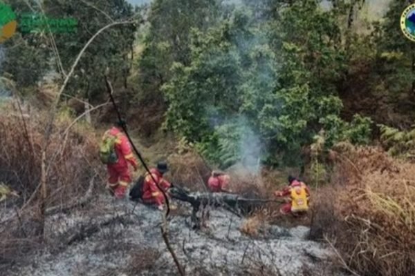 Petugas Darkalhutra sedang berusaha memadamkan api di kawasan TNGR. (foto kicknews.today/ist)