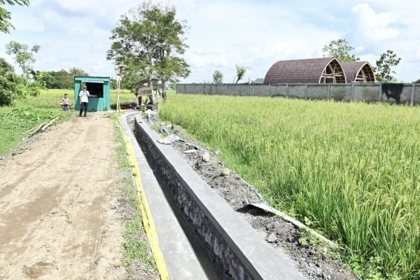 Revitalisasi irigasi di Desa Penujak Lombok Tengah. (foto kicknews.tiday/ist)