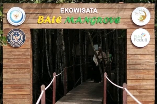 Ekowisata Bale Mangrove Jerowaru Lombok Timur dibuka kembali. Foto. Ist