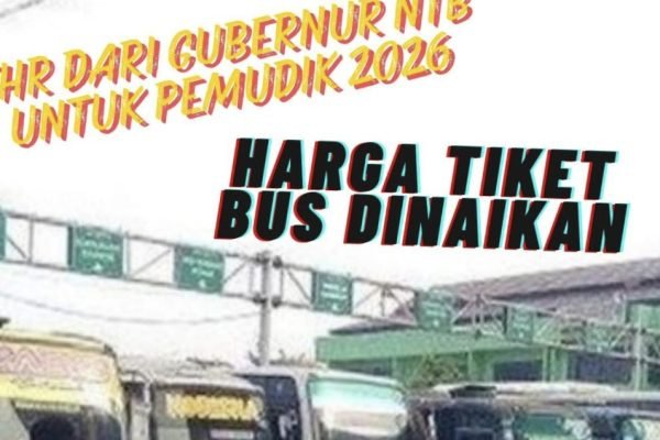 Kendaraan bus yang terparkir di terimal Mandalika. (foto kicknews.today/ist)