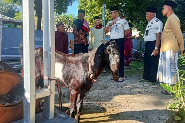 Hewan kurban Rutan kelas IIb Raba Bima.
