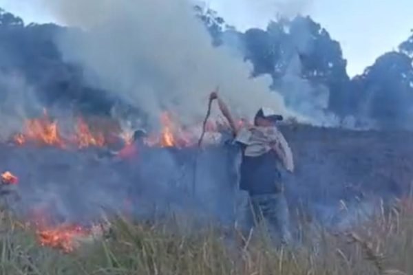 Kebakaran Savana di kawasan TNGR. Foto. Ist