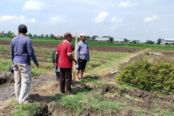 Tim peneliti UGR turun lapangan mengkaji lahan pangan. Foto. Ist