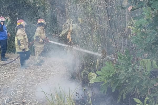 Dinas Pemadam dan Penyelamatan Lombok Barat saat memadamkan api di lokasi kebakaran lahan di Kuripan.(foto kicknews.today/damkarmat lobar)