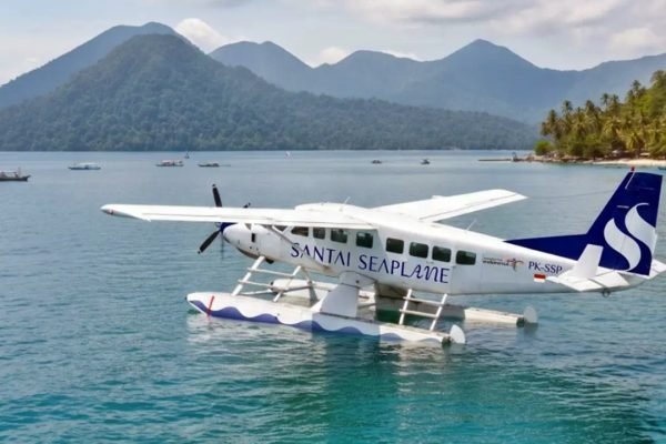 Ilustrasi pesawat amphibi