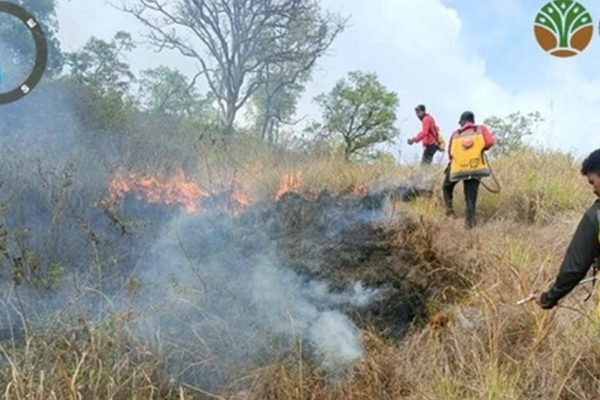 Petugas memadamkan kebakaran hutan dan lahan di kawasan Taman Nasional Tambora, Kabupaten Dompu. Hingga 11 September 2026, sekitar 358,16 hektare lahan di wilayah Resor Piong teridentifikasi terdampak kebakaran. Foto: Dok. Balai TN Tambora