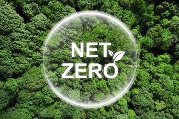 Ilustrasi Net Zero