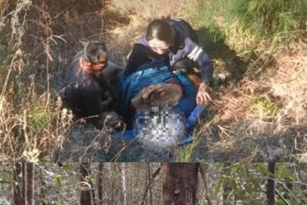 Pendaki asal China, Li Xianhua (47), mendapat pertolongan setelah terpeleset dan mengalami cedera kepala di jalur Senaru–Batu Ceper, Gunung Rinjani, Senin (14/9/2026). Foto: Dok. Kantor SAR Mataram.
