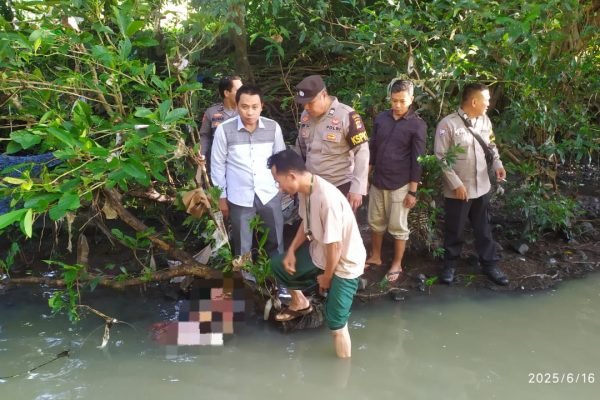 Petugas evakuasi mayat bayi tersangkut di pohon di Lombok Tengah.