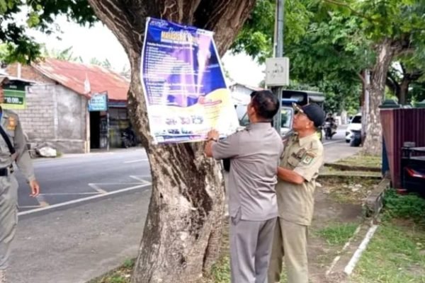 Anggota Satpol PP saat melepas Atribut Promosi liar yang dipasang di Pohon. (Foto. kicknews.today/Ist)