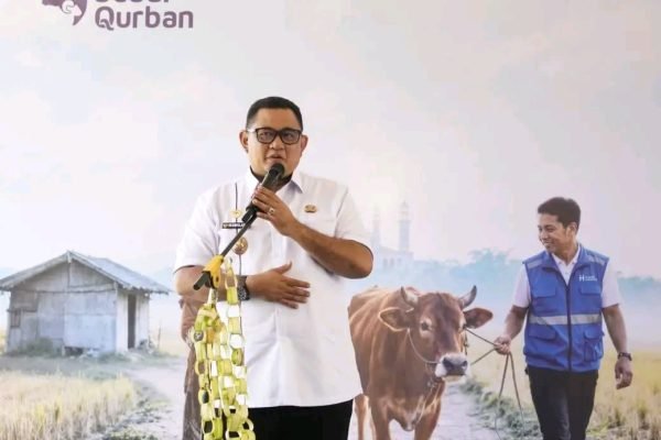 Wakil Bupati Lombok Utara, Kusmalahadi Syamsuri. (Foto. kicknews.today/Ist)