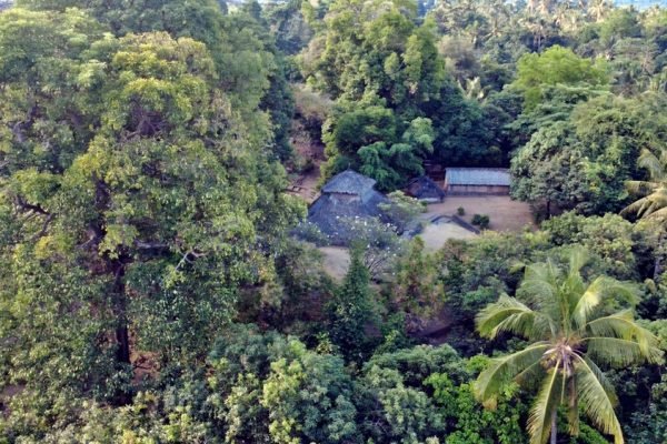 Masjid Kuno Bayan dikelilingi pepohonan di Desa Bayan, Lombok Utara. Pengetahuan masyarakat Sasak Bayan menempatkan hutan dan pohon besar sebagai bagian penting dalam menjaga sumber air. (Foto: kicknews.today)
